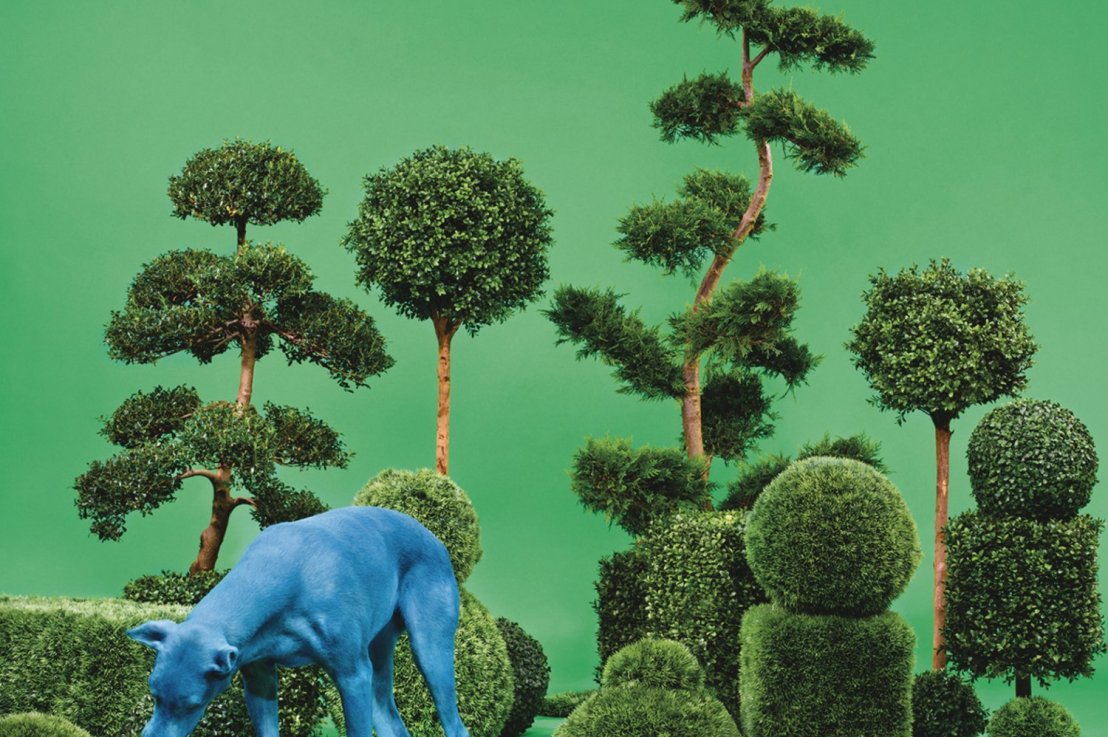 L&rsquo;art de l&rsquo;entertainment de Snoop&nbsp;Dogg