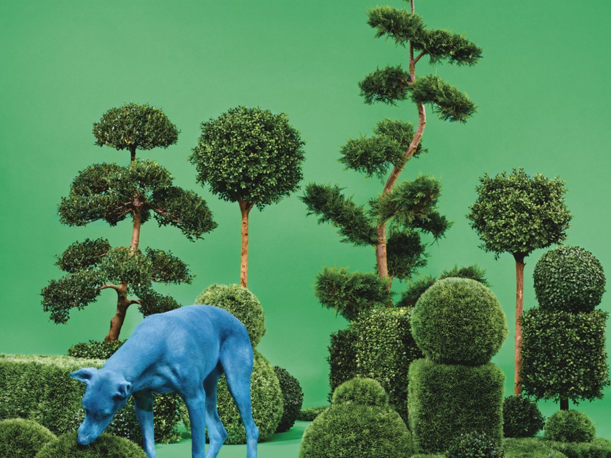 L&rsquo;art de l&rsquo;entertainment de Snoop&nbsp;Dogg